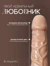undefined - миниатюра фото 2