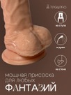 undefined - миниатюра фото 4